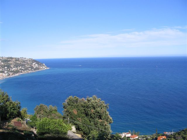 Bordighera Bergon P