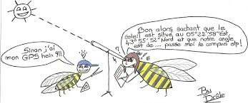 abeilles3