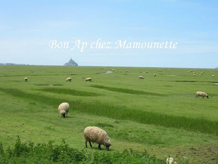 -Balade au Mont st Michel en Normandie samedi 1er juin 2013 002