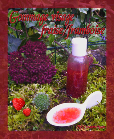 gommagevisagefraiseframboise2