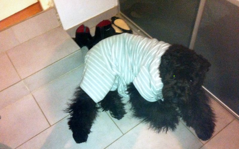 pyjama partie pour FIANNA de la DULLAGUE chez NICOLE