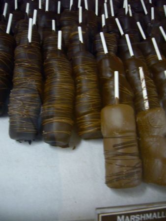 P1130076