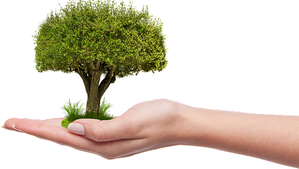 Arbre