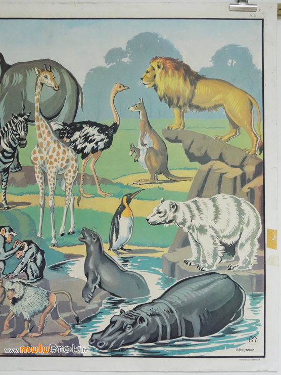 AFFICHE-MDI-26-27-CHIEN-CHAT-ZOO-9-muluBrok-Vintage