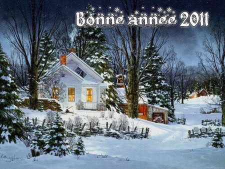 bonne_annee_2011