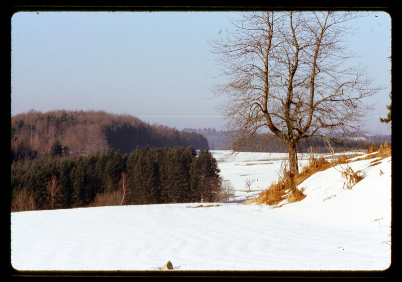 le temps des neiges (9)