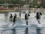 MARINELAND_CP