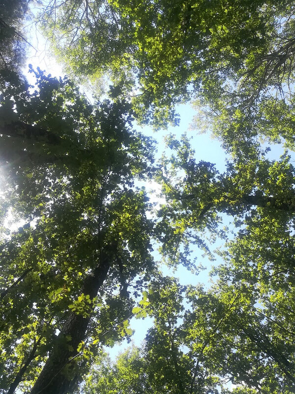 53