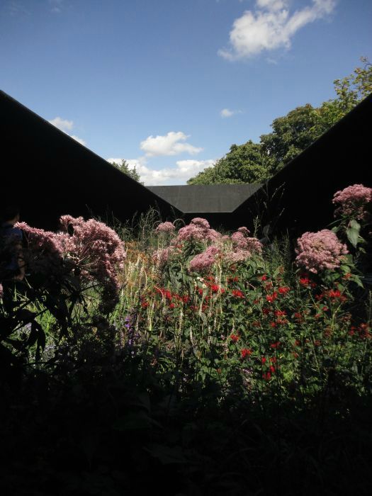 zumthor