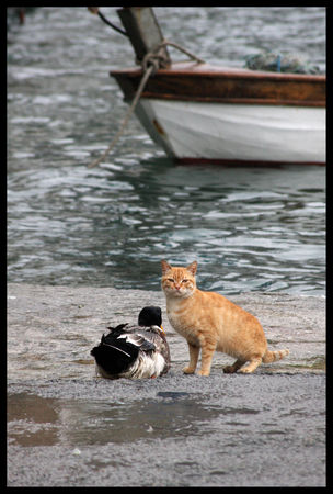 istanbul_50