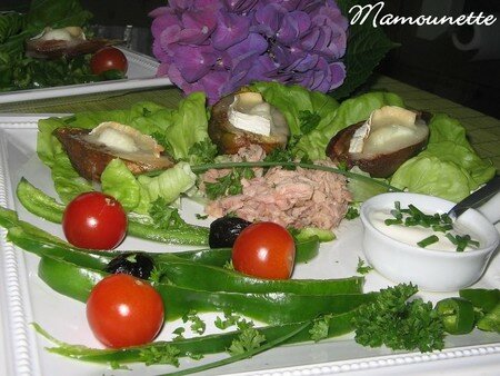 Salade_d__t__aux_figues_gratin_es_014
