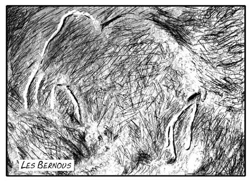 Les Bernous