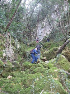 Mont_e_sur_les_rochers_moussus