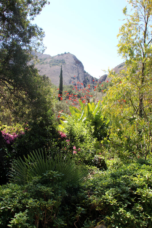 bananier_paysage
