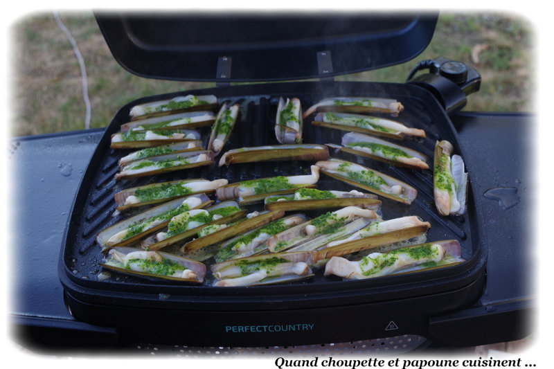 couteaux au bbq et solution de replis-789