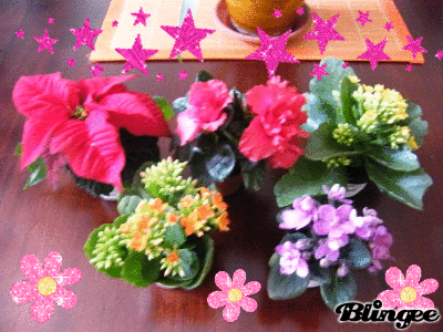 blingee_fleurs_4