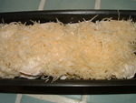 DSCF0543