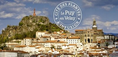 le-puy