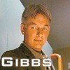 gibbs_1