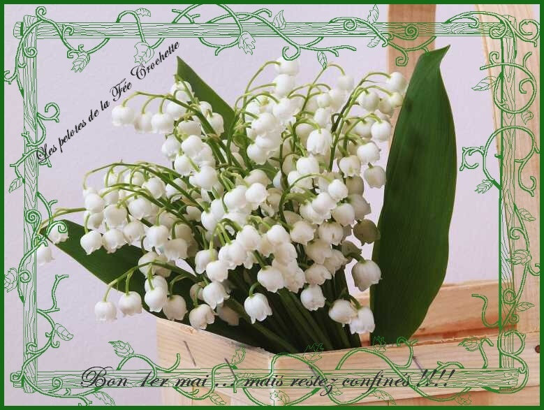 1588322805-muguet-1er-mai