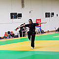 LISE Kung Fu Sabre - Médaille d'Or