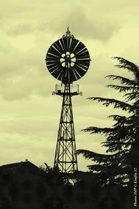 IMG_0188 b