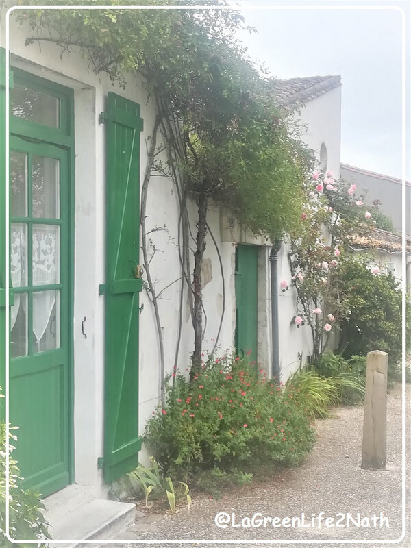 ruelle île de Ré