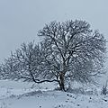 A Saint-Barnabé un jour de neige