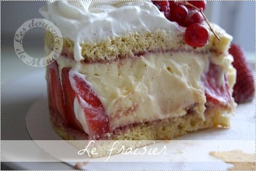 Fraisier0033