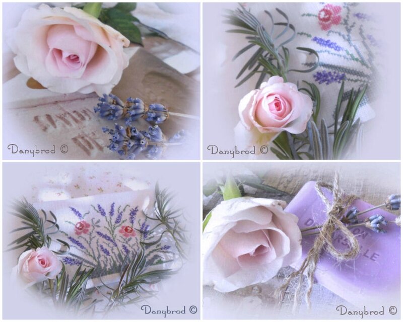 roses et lavande3