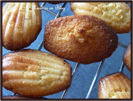 madeleines___la_noix_de_coco1