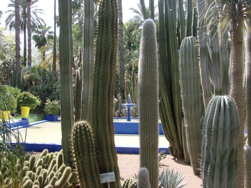 Les Jardins de Majorel (11)