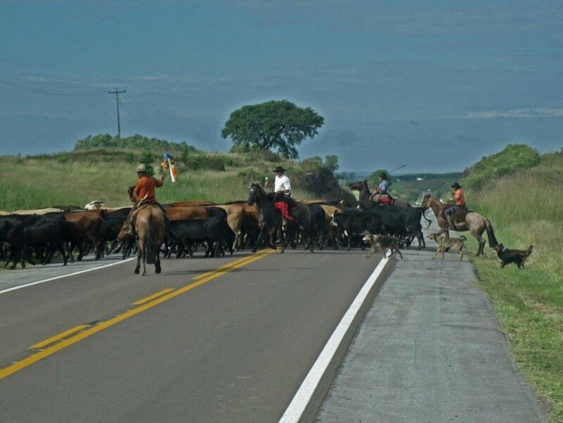 GAUCHOS AVANT LA FRONTIERE ACEGUA (2)