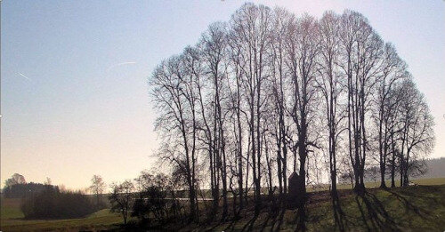 Lesve, la chapelle aux loups