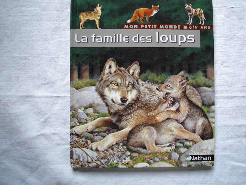 la famille des loup