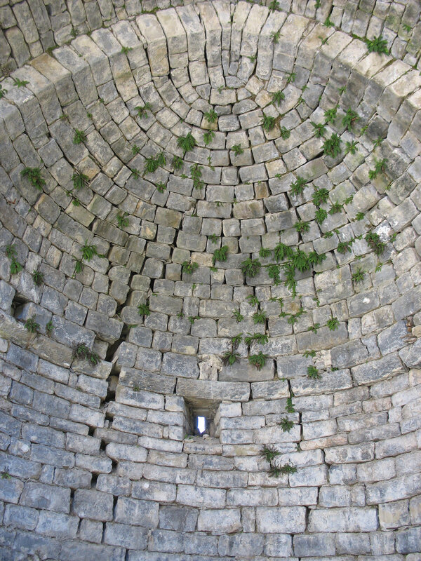 Jaca, église San Juan Bautista, autel, mousse (Espagne)