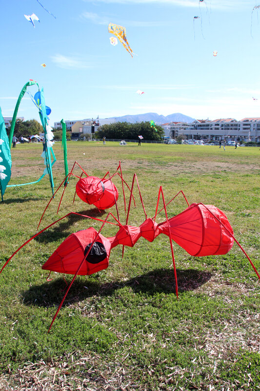 fete_du_vent_fourmis_rouges