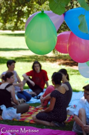 Picnic