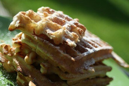 gaufre_epeautre