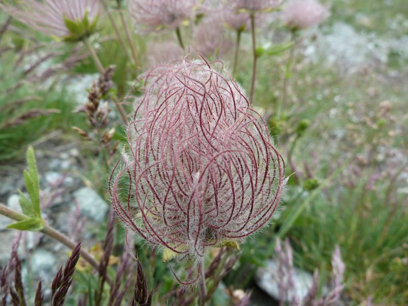 P1040051