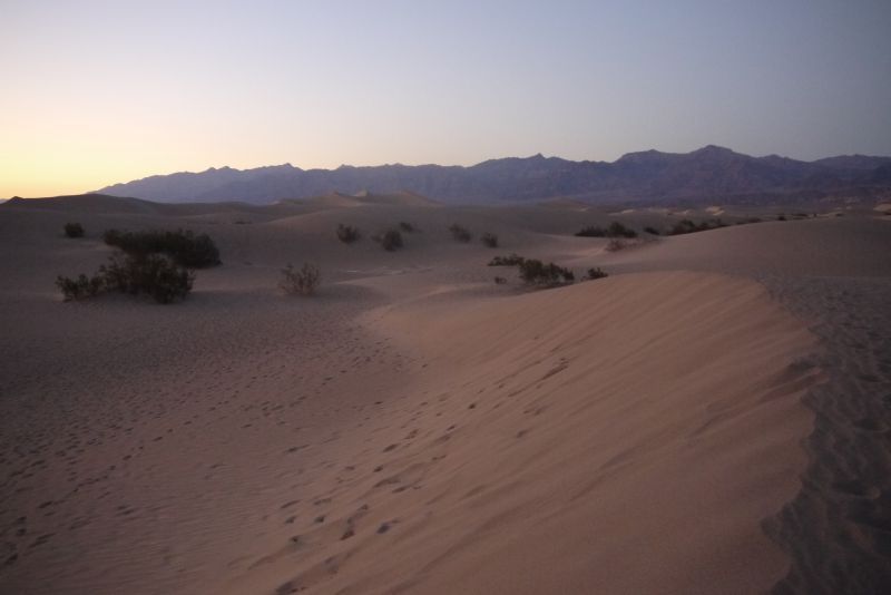 Death Valley; Californie; USA; Mesquite Dunes