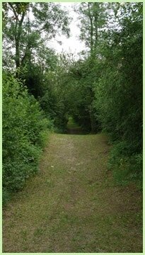 Les Eparges, Meuse (c) C. MENOT