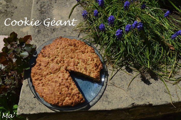 150406_cookie_geant