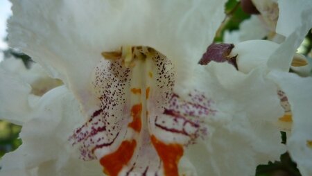 094