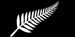 NZ_fern_flag_svg