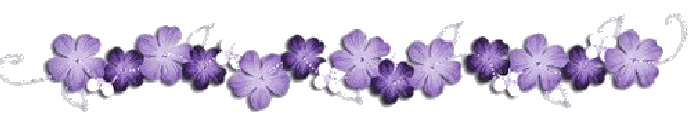 fleurs-violettes