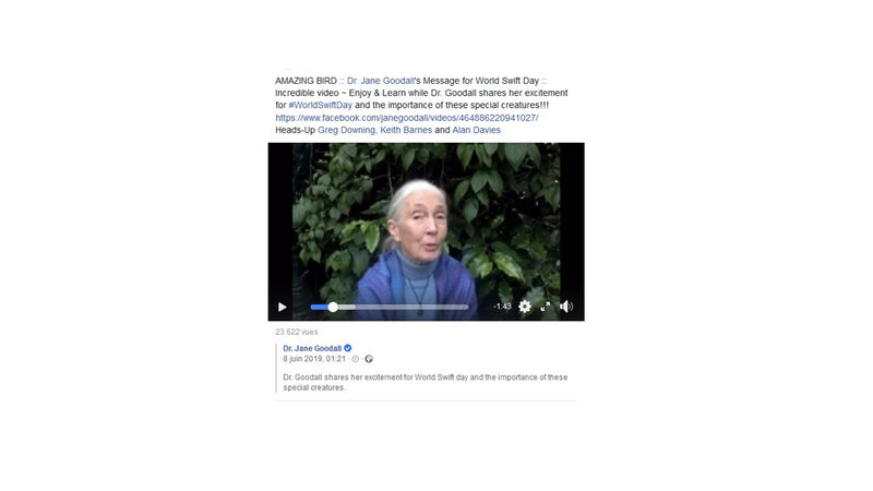 Jane Goodall_video capture