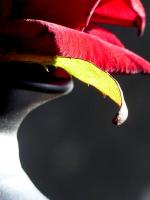 P1210063