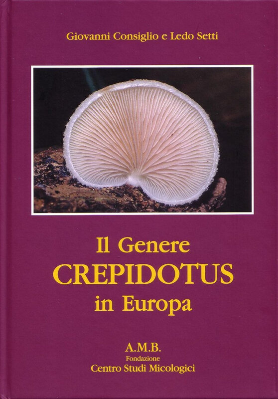Il Genere Crepidotus in Europa 178919