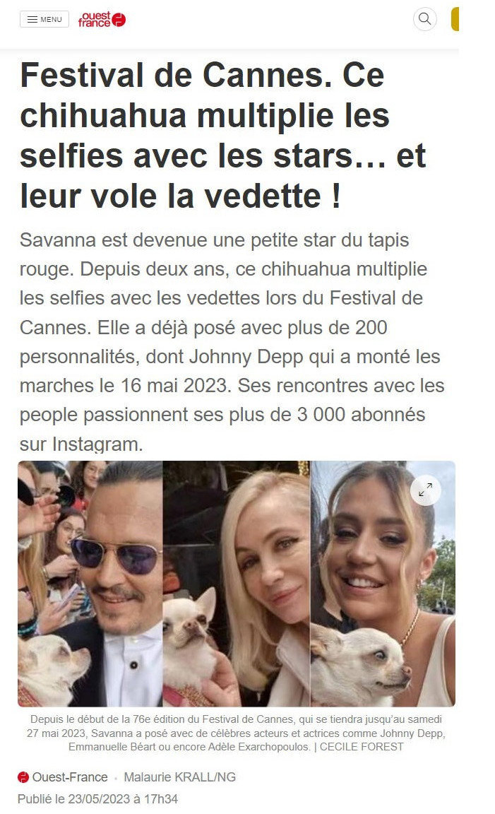 Siensien cannois